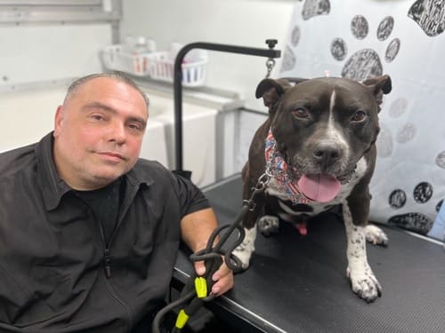 dog grooming in Glendora