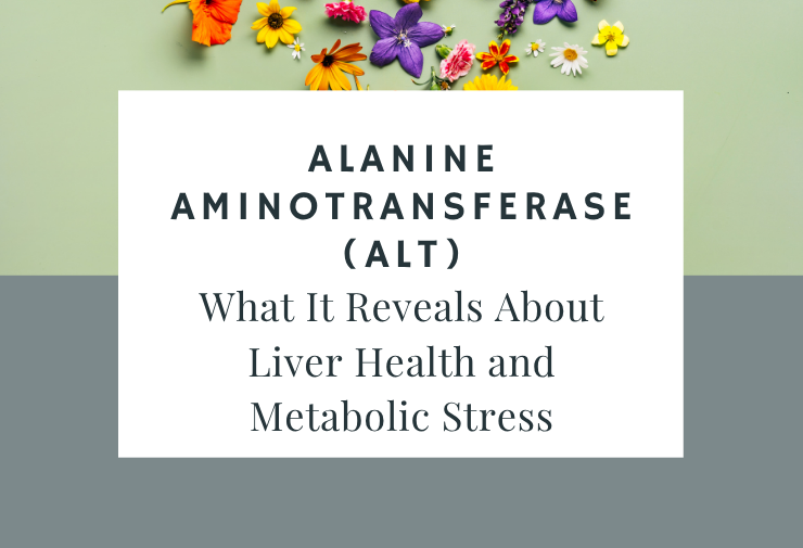 Alanine Aminotransferase (ALT): What It Reveals About Liver Health and ...