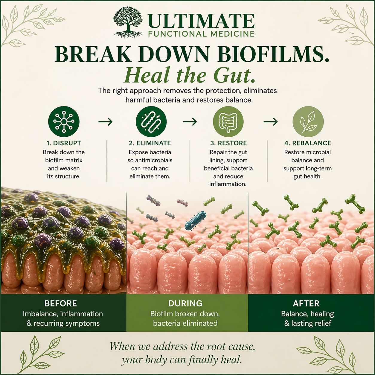 how biofilms are broken down
