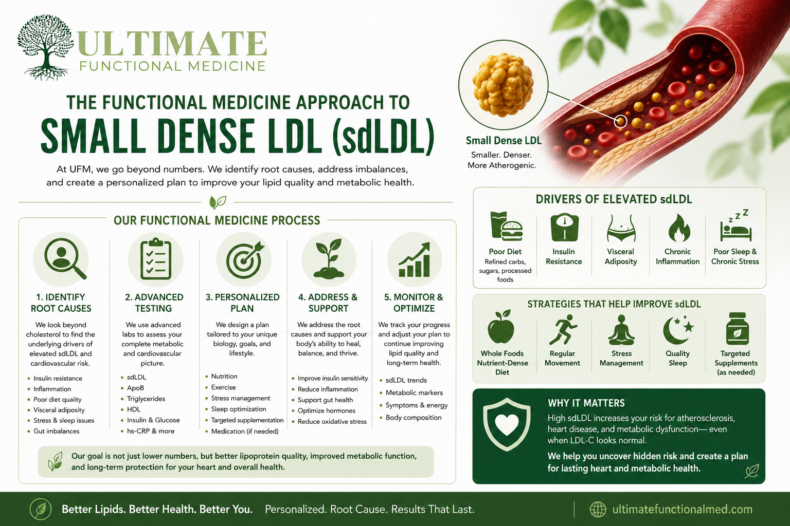 Functional medicine approach smLDL