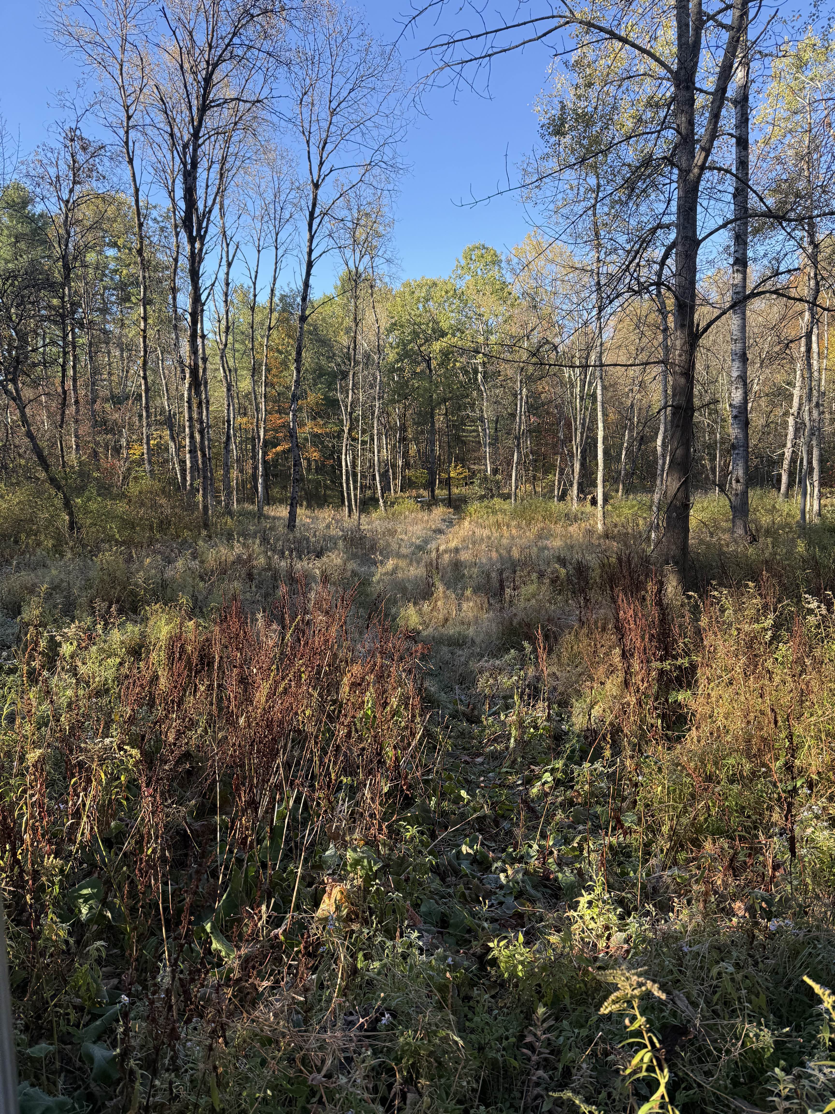 Powell Company project photo 3