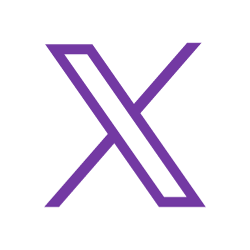 Image: X icon