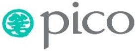 Pico logo