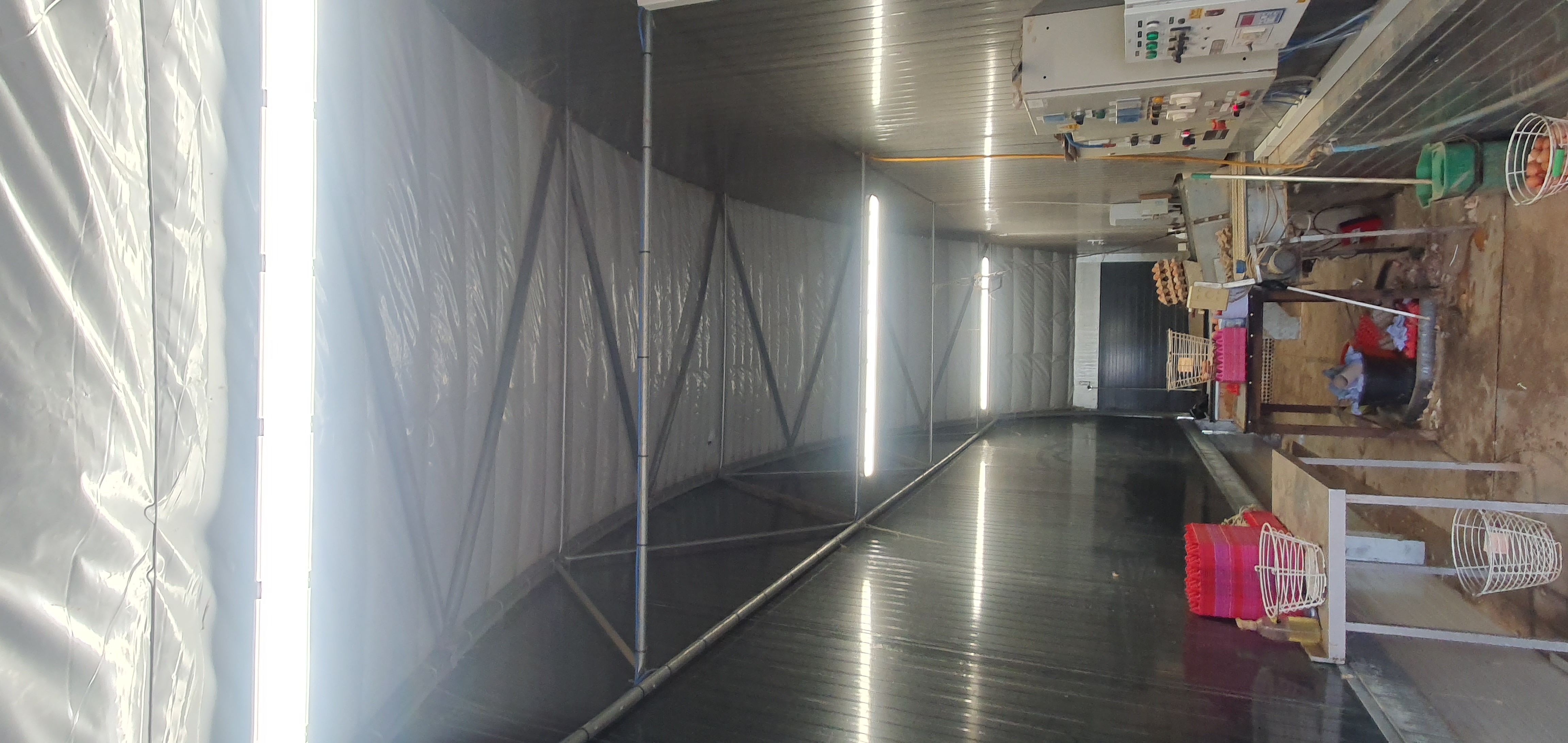 Strip lighting running the length of an insulated poultry building with a control panel on the wall