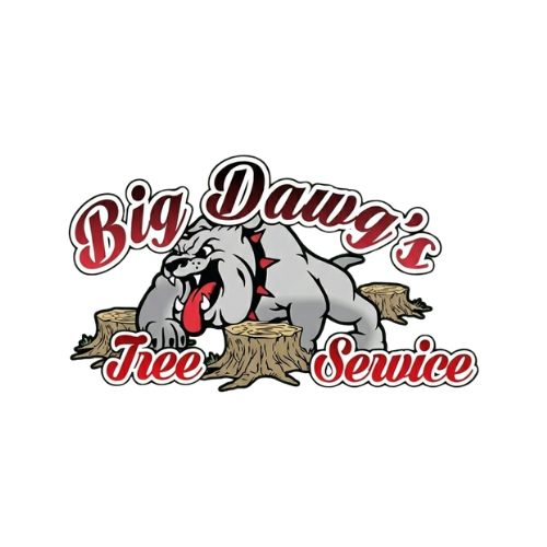 Tree Service in Biscayne Park, FL
