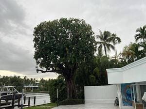 {{ custom_values.service_1 }} in {{custom_values.area_4})