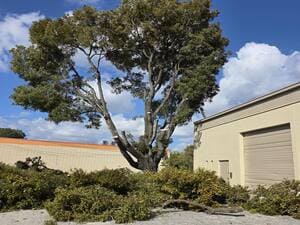 {{ custom_values.service_4 }} in {{custom_values.area_1})