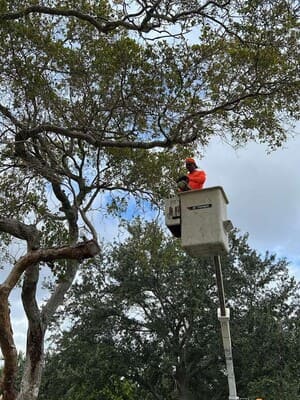 in Biscayne Park, FL