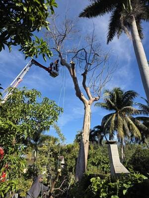 {{ custom_values.service_1 }} in {{custom_values.area_5})