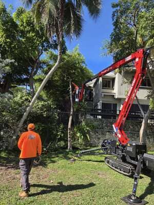 {{ custom_values.service_2 }} in {{custom_values.area_5})