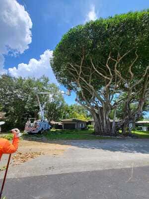 in Biscayne Park, FL
