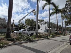 {{ custom_values.service_4 }} in {{custom_values.area_3})