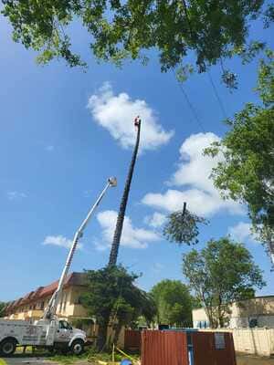 {{ custom_values.service_4 }} in {{custom_values.area_7})