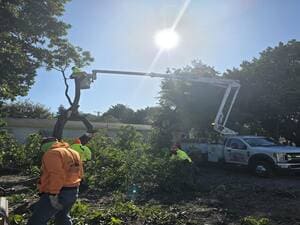 {{ custom_values.service_3 }} in {{custom_values.area_2})