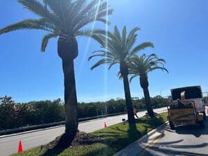 {{ custom_values.service_2 }} in {{custom_values.area_1})