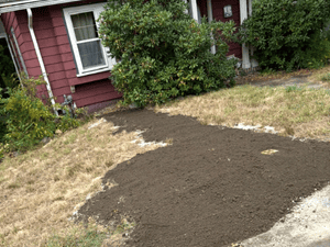 {{ custom_values.service_3 }} in {{custom_values.area_3})