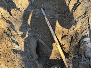 {{ custom_values.service_2 }} in {{custom_values.area_3})