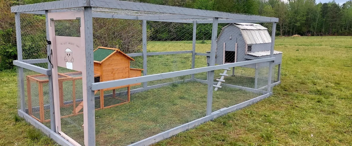 A large chicken coop with a fenced enclosure and two wooden houses for birds in a grassy field.