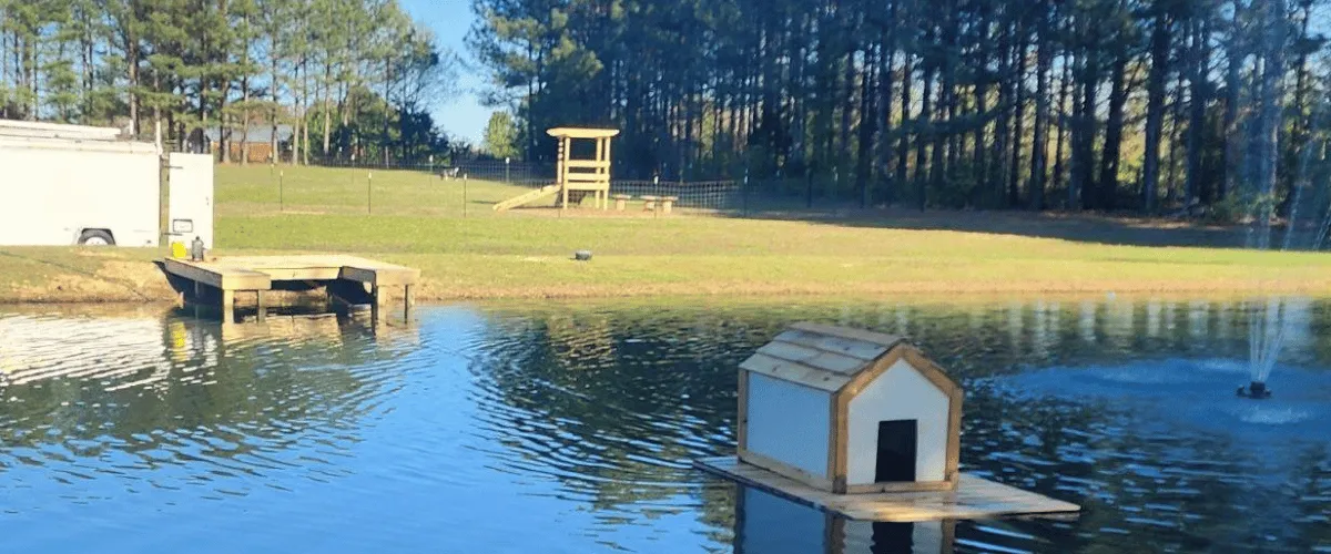 Floating duck house near wooden dock on backyard pond Floating duck house near wooden dock on backyard pond