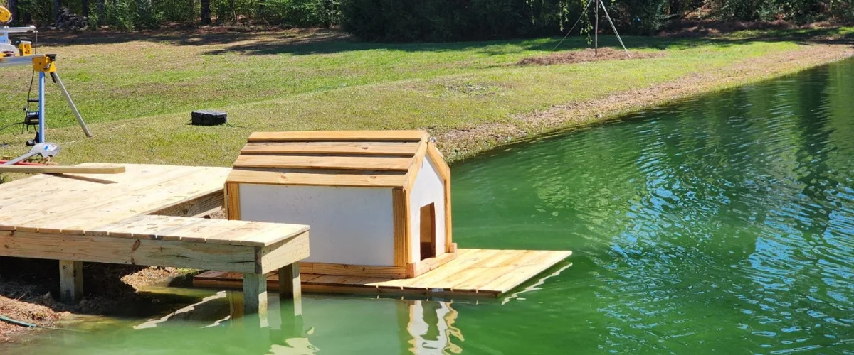 A custom-built wooden duck house resting on a floating platform in a vibrant green pond under sunlight.