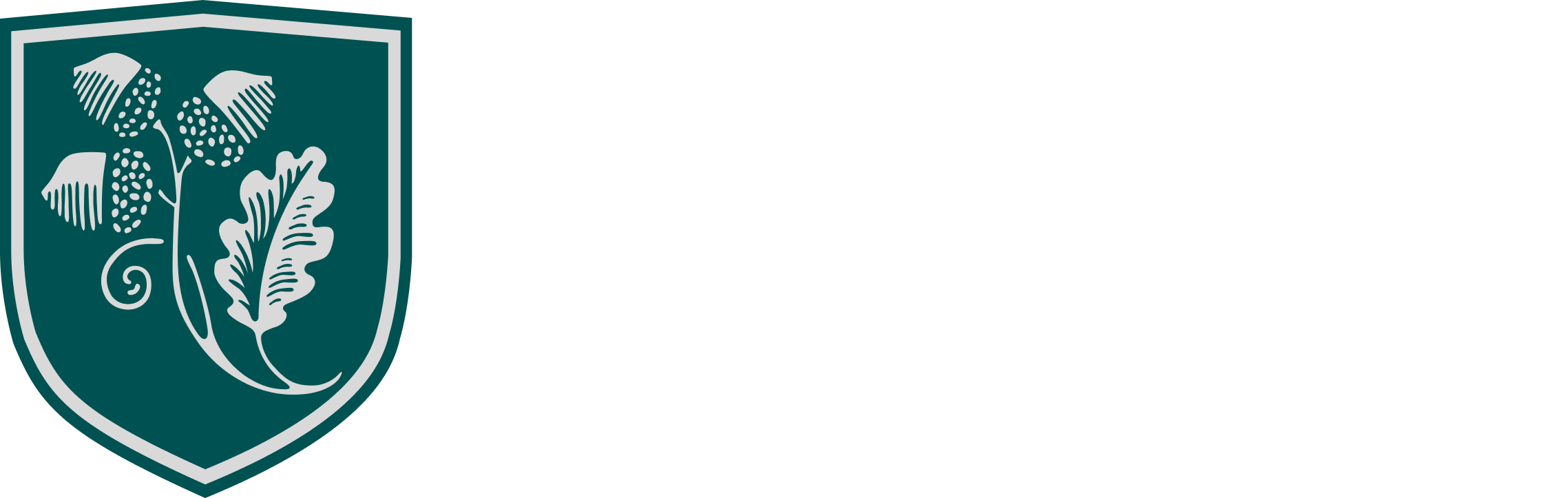 Logo du programme Academica Dual Diploma en version vert et blanc