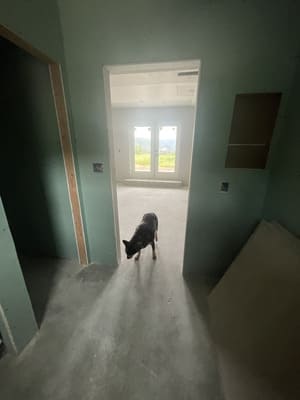 {{ custom_values.service_4 }} in {{custom_values.area_4})