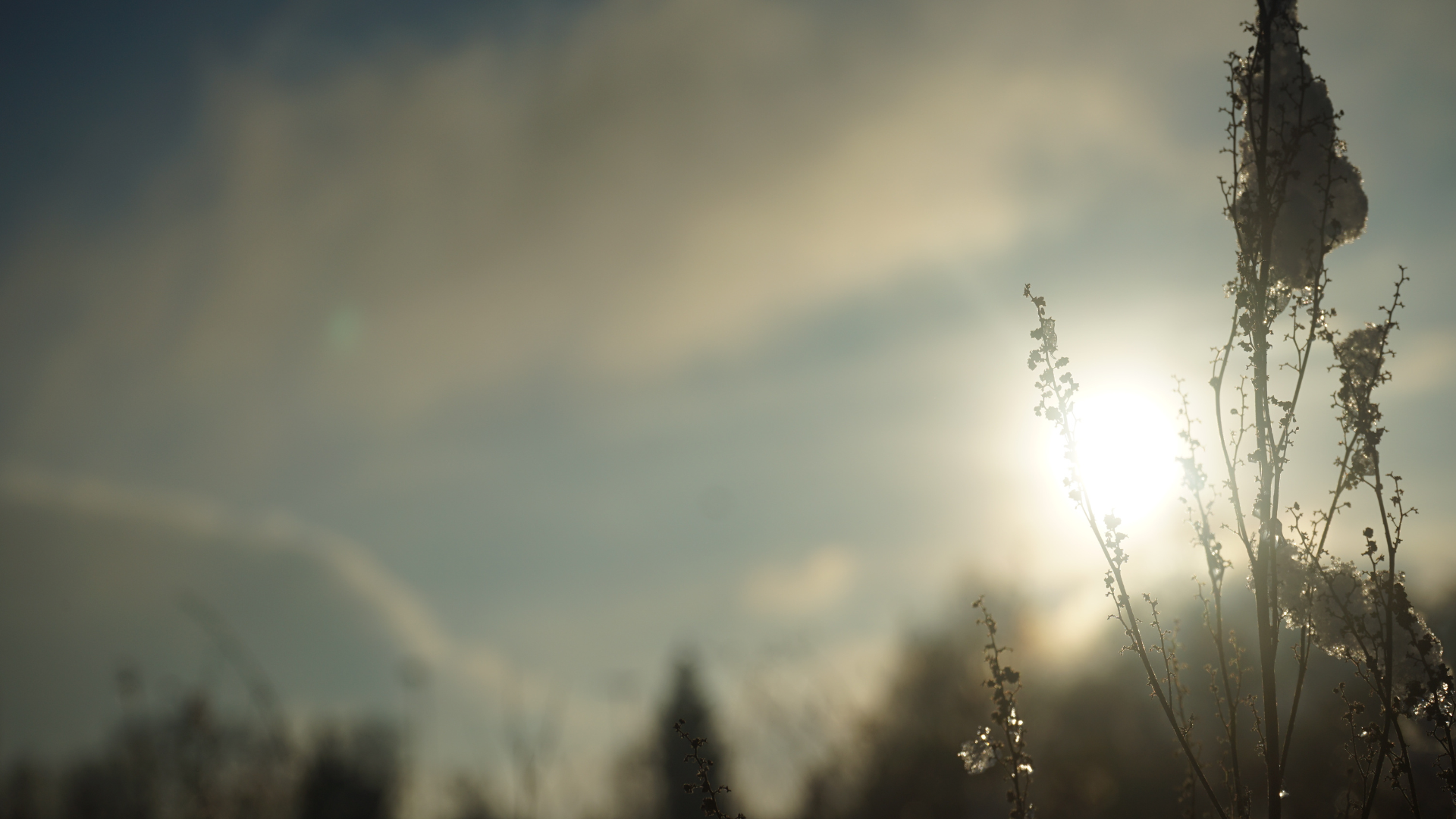 Easter Is Coming… Hold Onto Hope