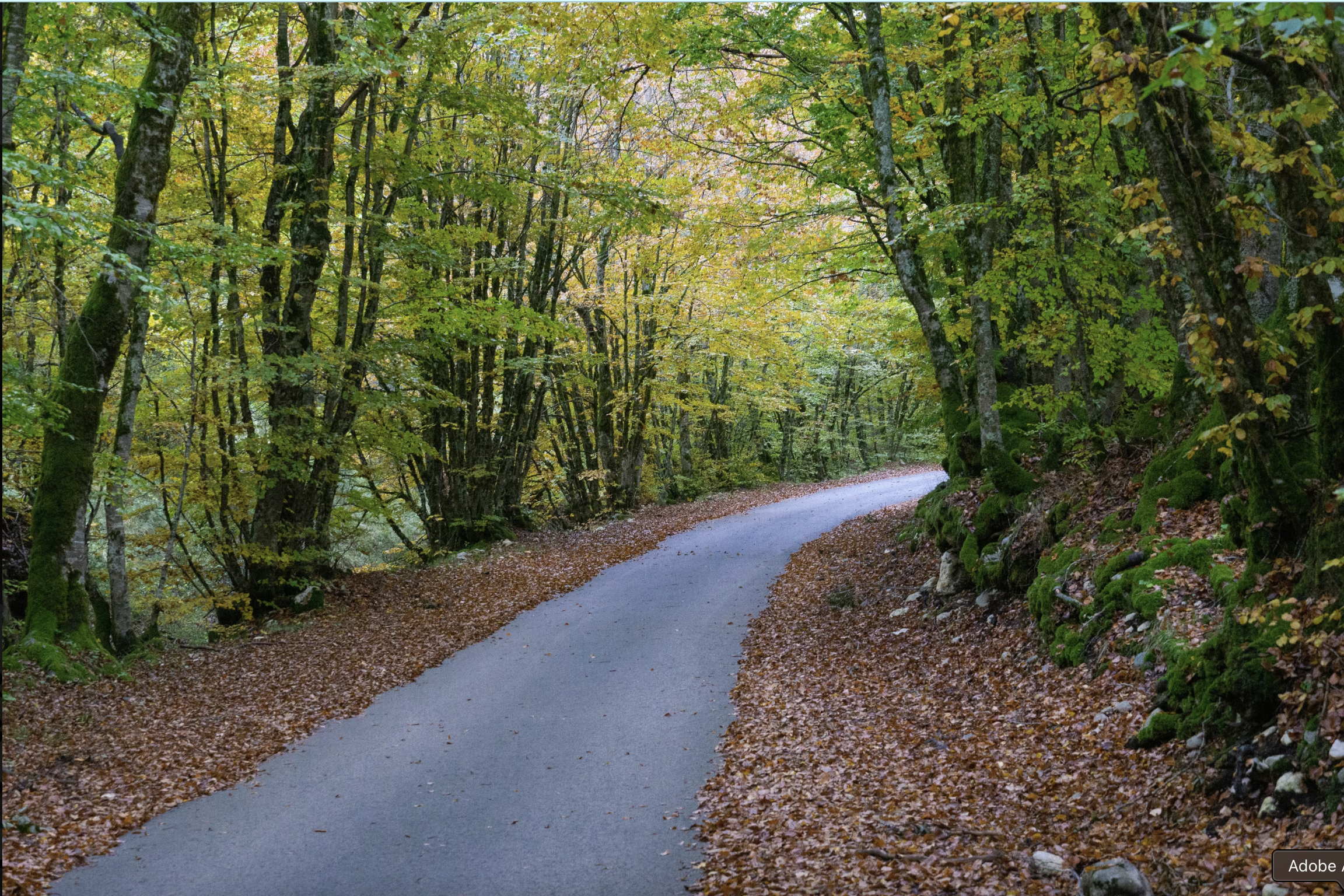 Returning, But Not Going Back: The Distance Between Then and Now | Kathy Muzik
