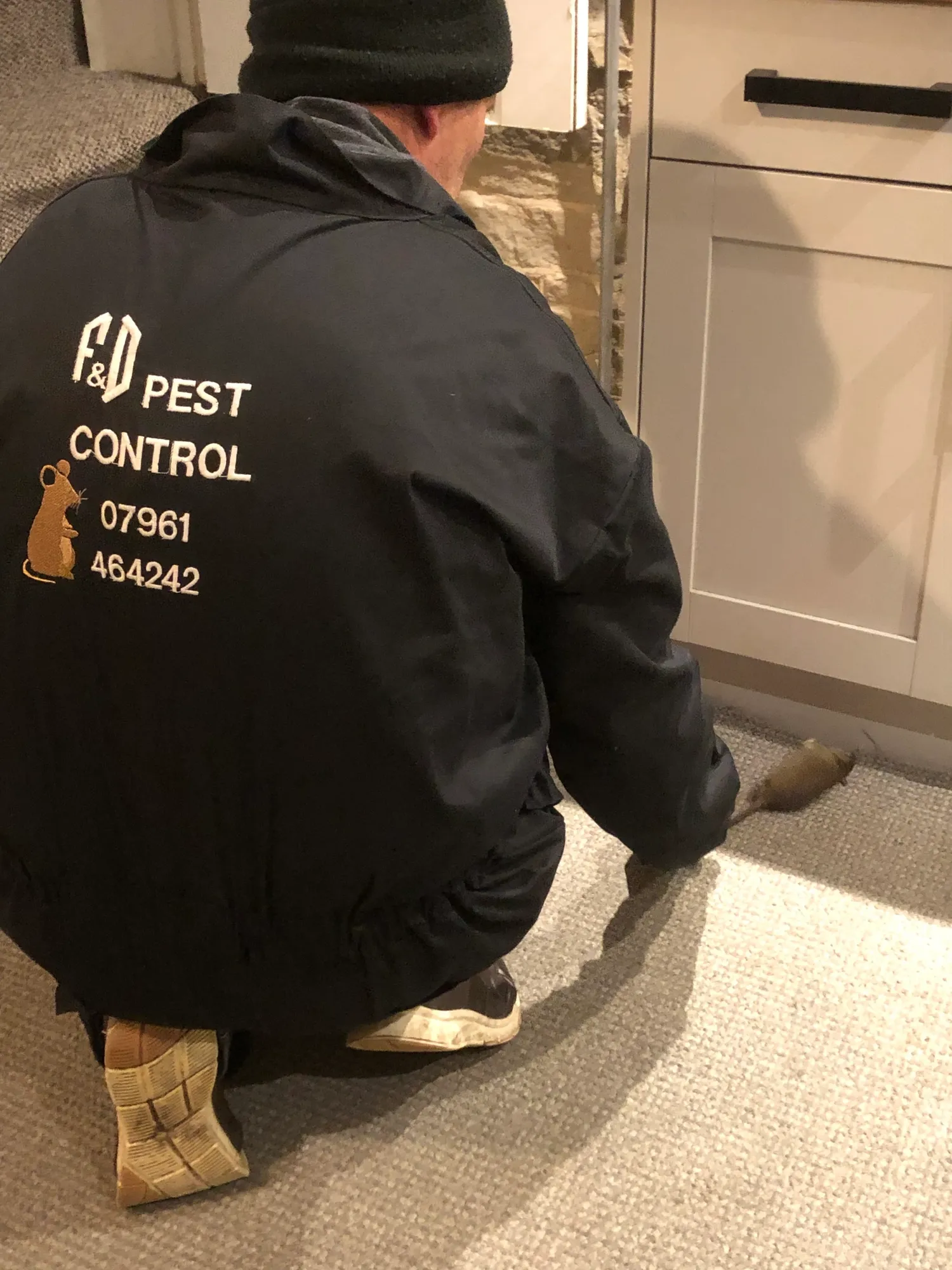 Rodent Removal