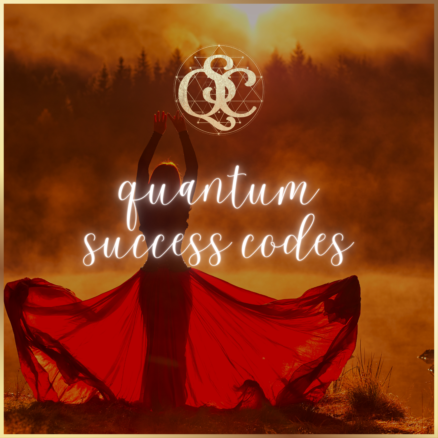 Quantum Success Codes