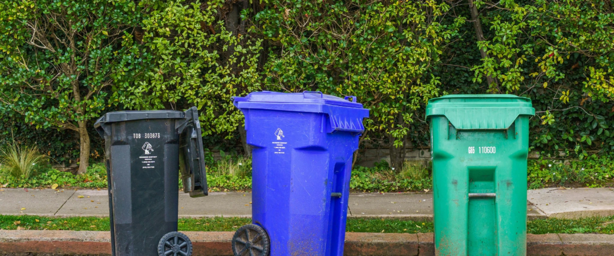 Row of indoor recycling and waste bins for organized waste separation.