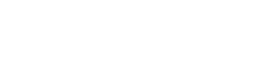 Bizflow