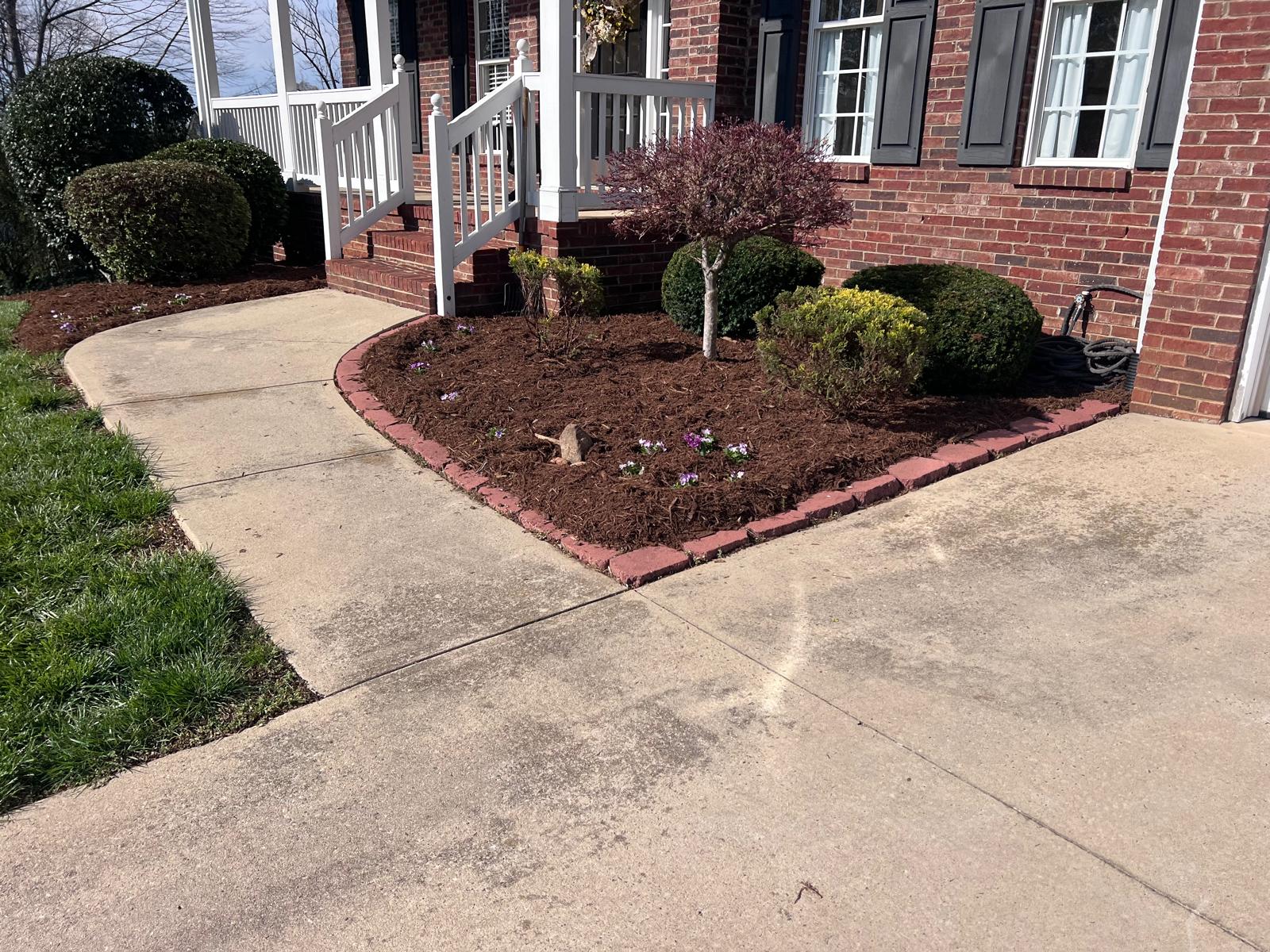 Olmos Hardscaping project
