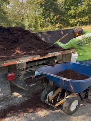 {{ custom_values.service_1 }} in {{custom_values.area_2})