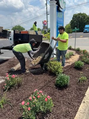 {{ custom_values.service_2 }} in {{custom_values.area_4})