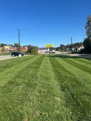 {{ custom_values.service_4 }} in {{custom_values.area_4})