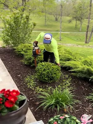 {{ custom_values.service_4 }} in {{custom_values.area_2})