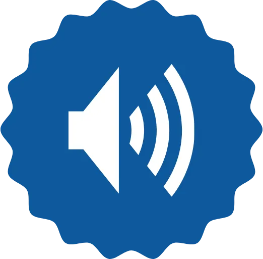 two way audio