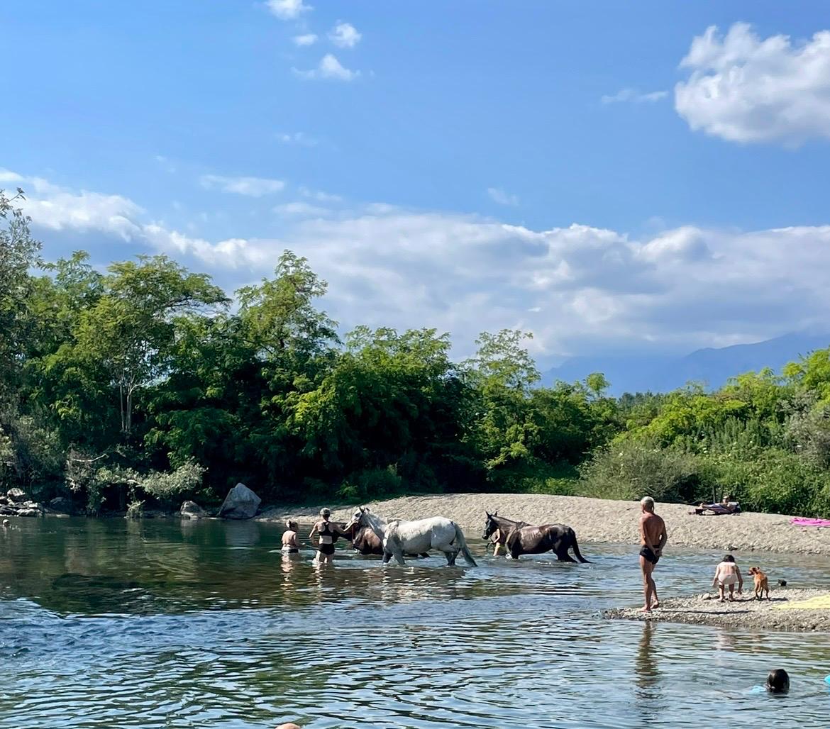 Molino di Guadalungo