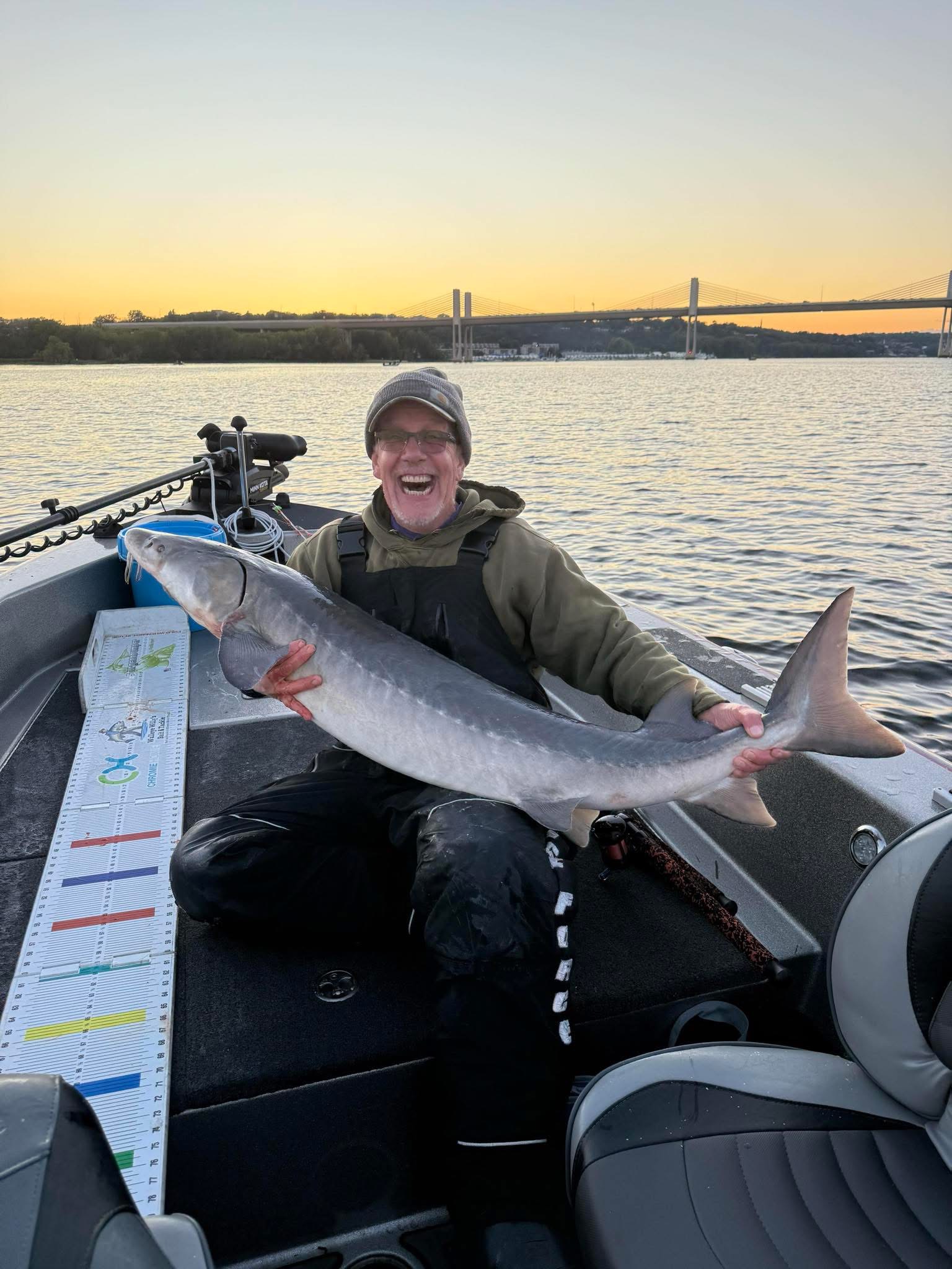 Lake sturgeon held boatside before release on the St. Croix River
