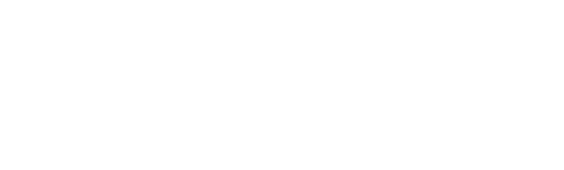 Punchn Credibility for Hybrid Leaders