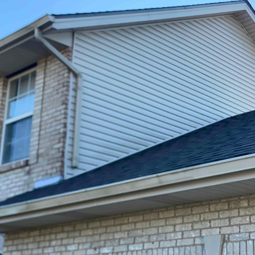 mossy roof before exterior cleaning