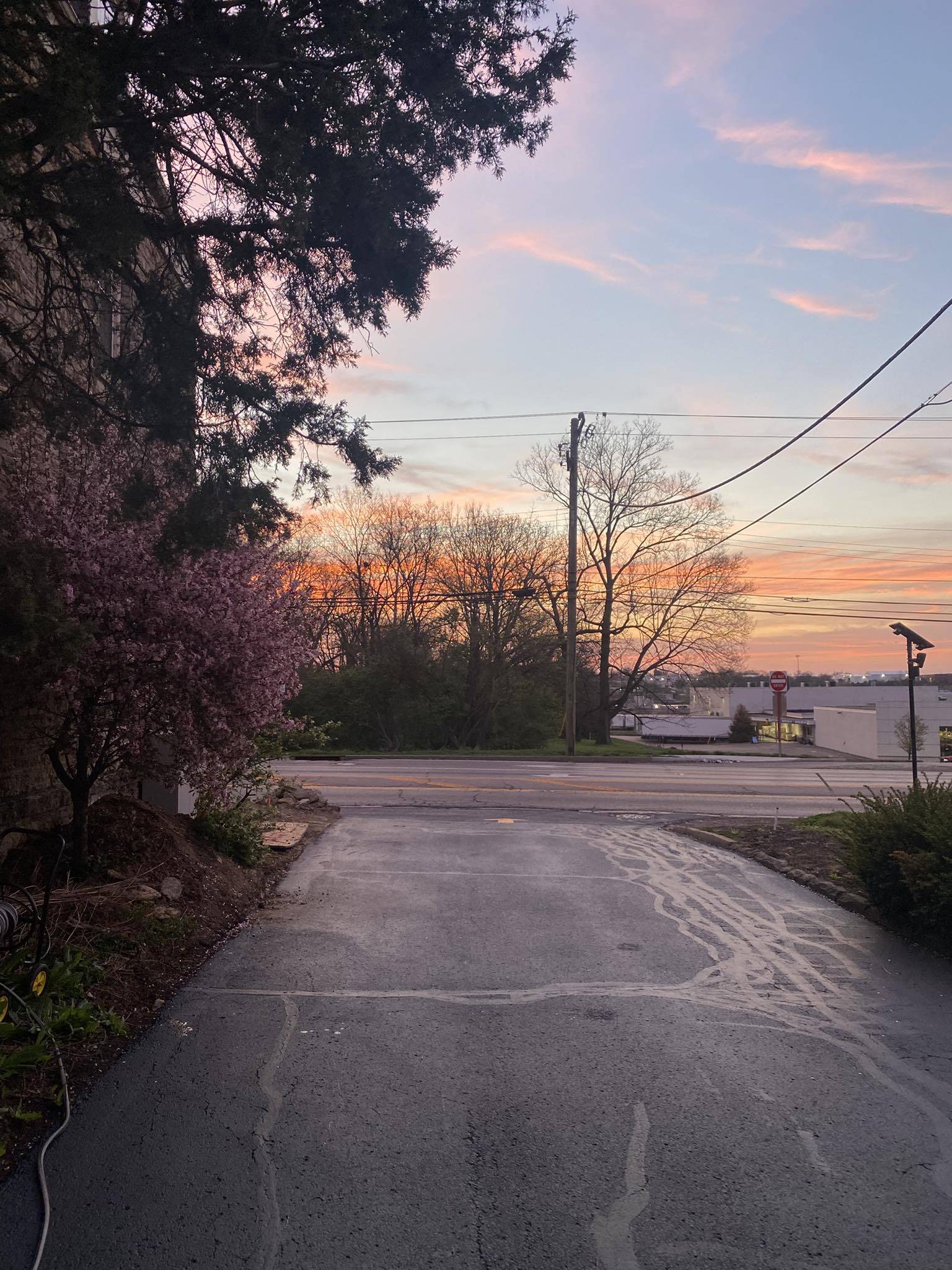 Placeholder image alt text