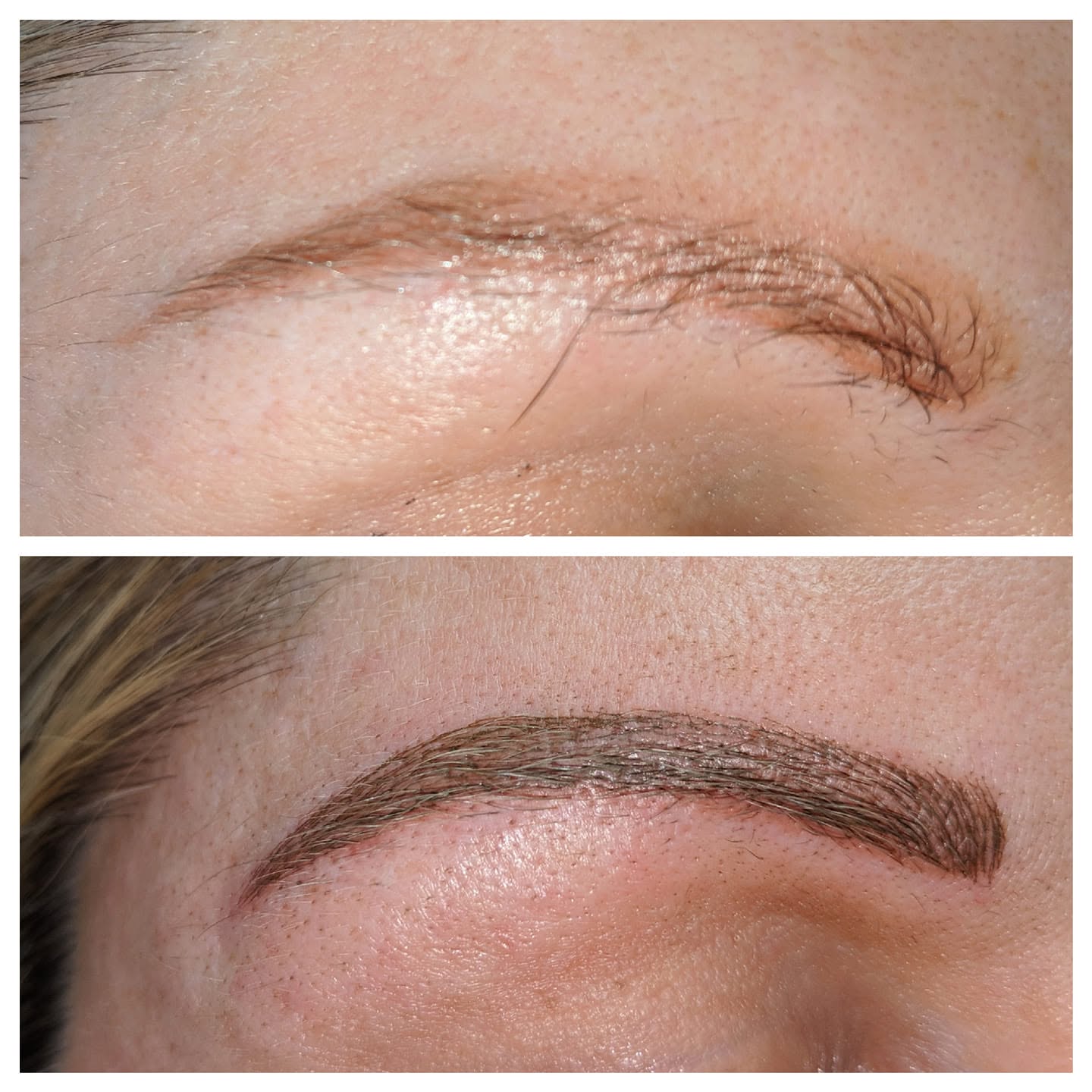 EyEnvy permanent brow result