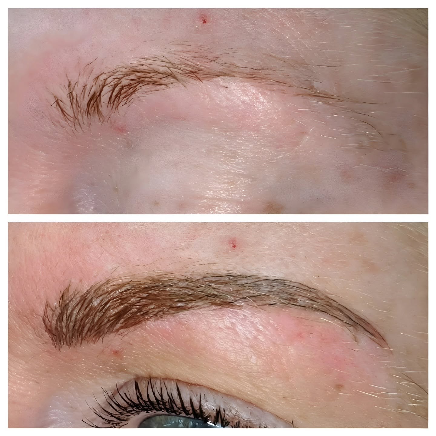 EyEnvy powder brow transformation