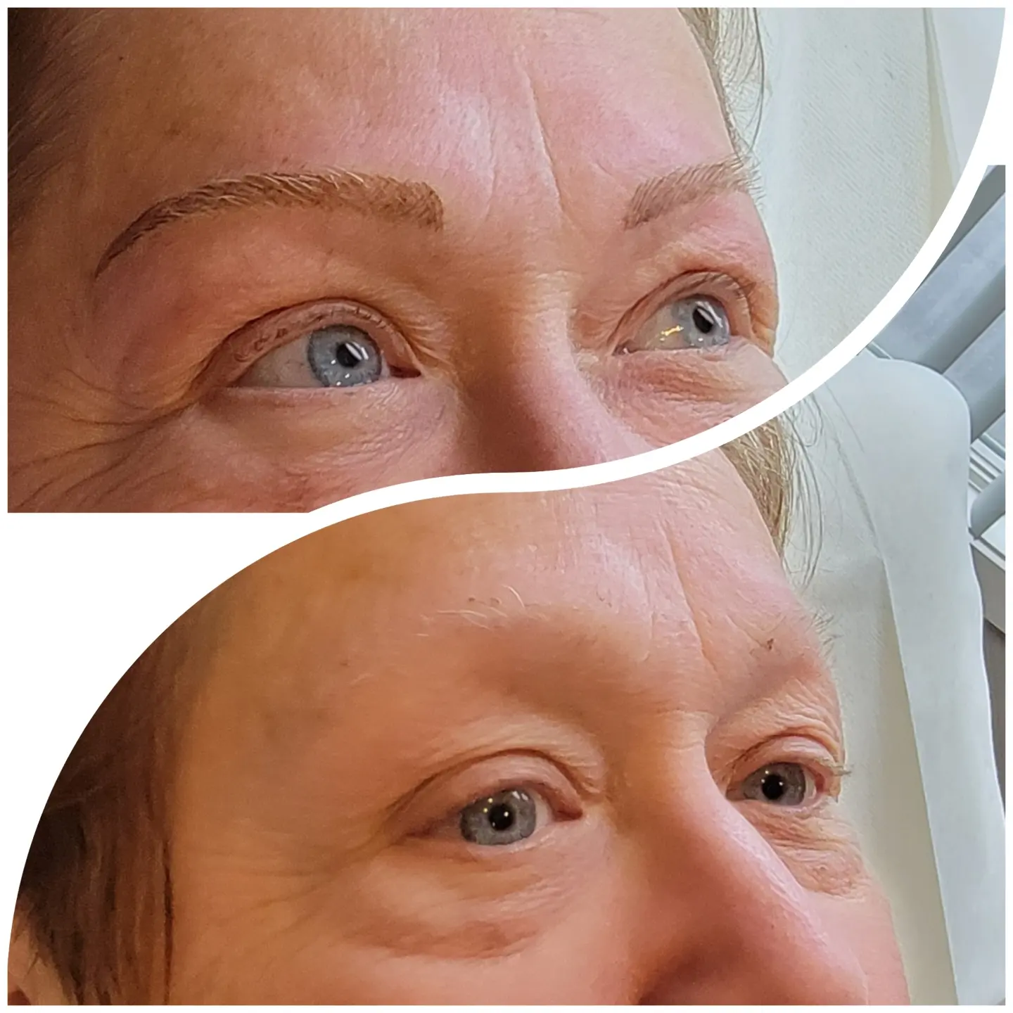 EyEnvy permanent brow result