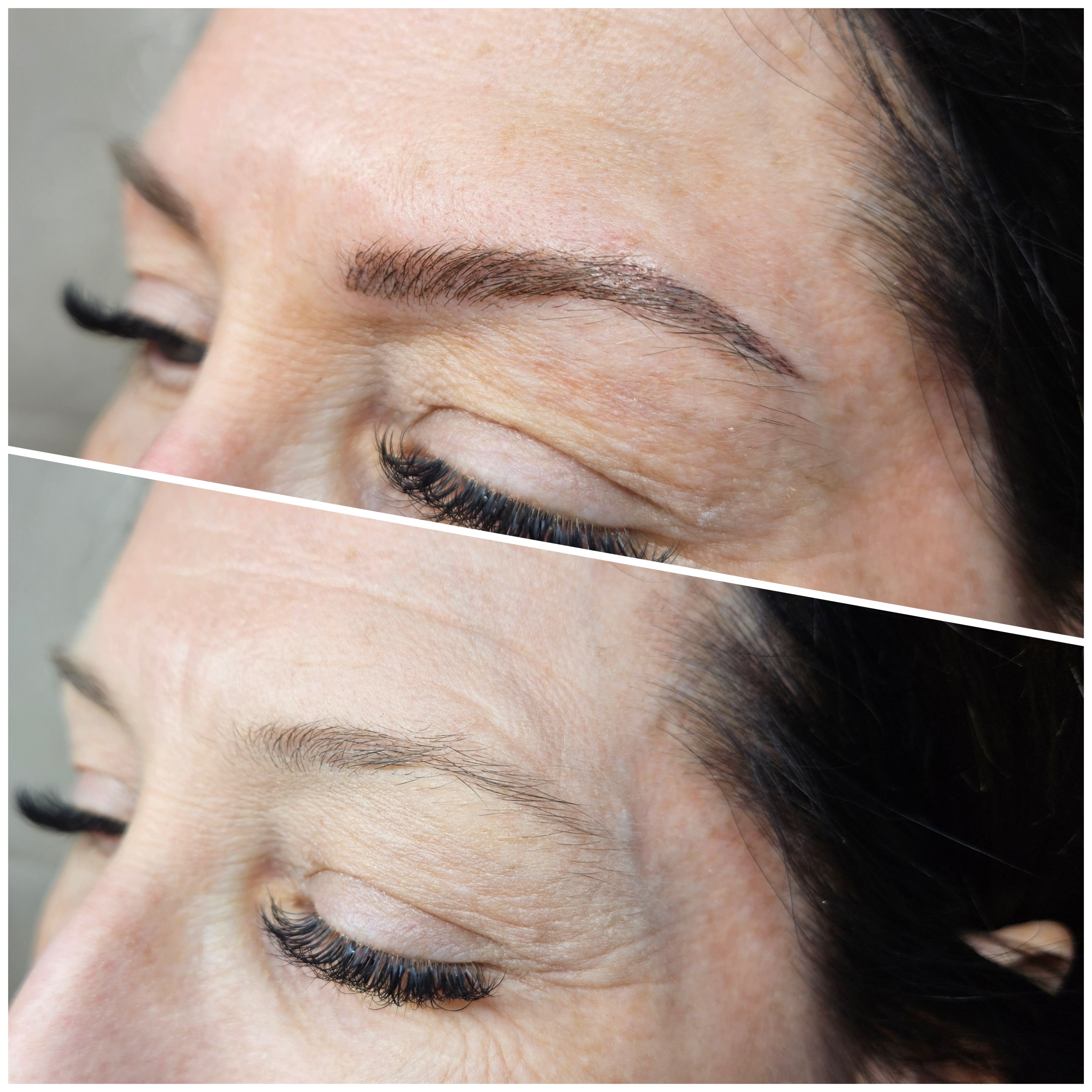 Professional Brow Education