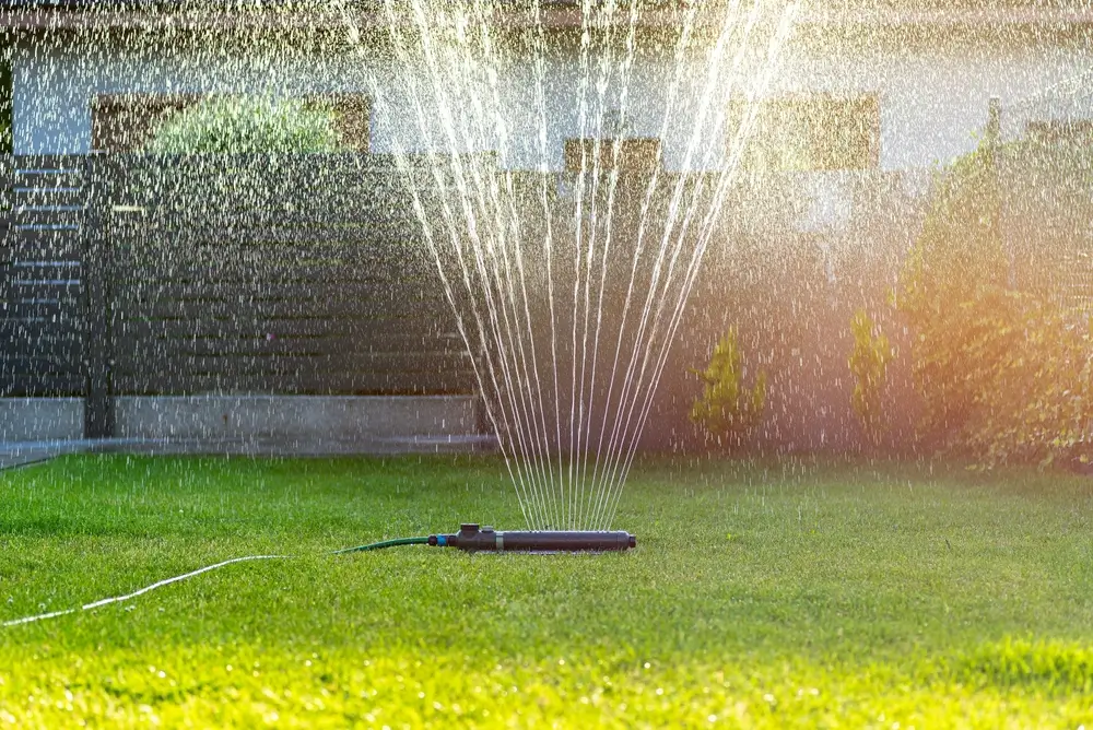 Lawn Care Maintenance