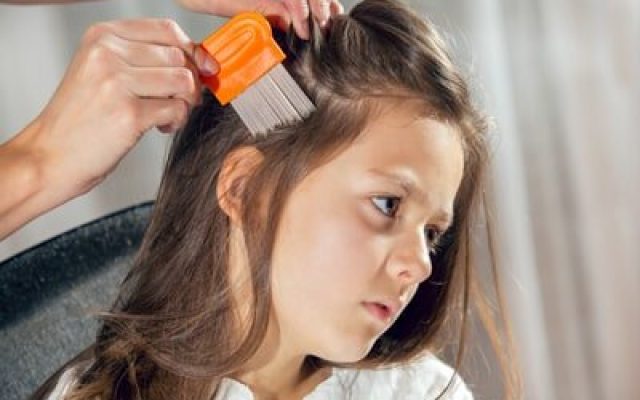 Lice Removal Vancouver WA