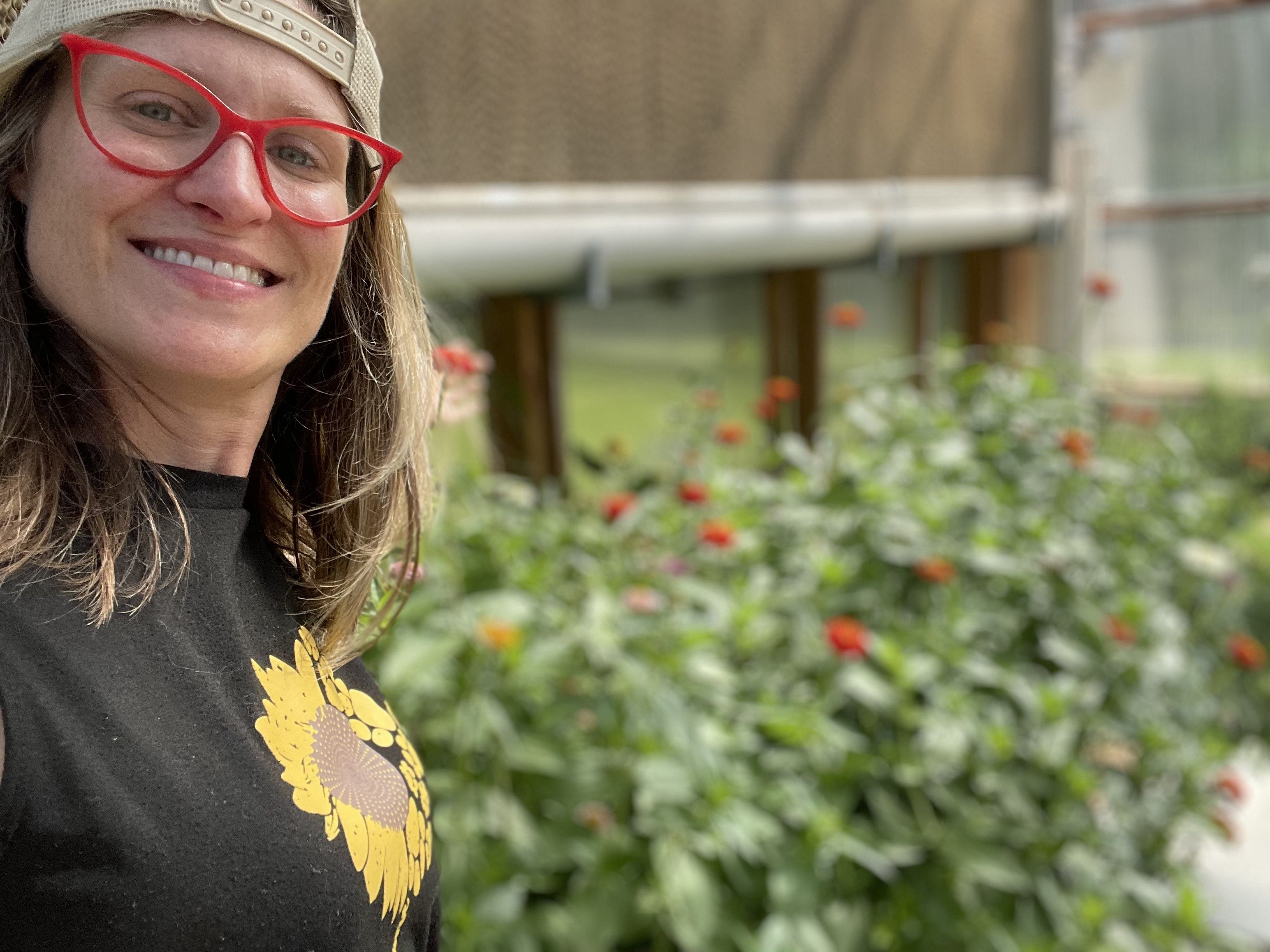 Raised bed garden installation with fresh soil and plants reflecting seasonal growth and harvest